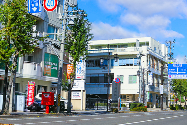 木と空